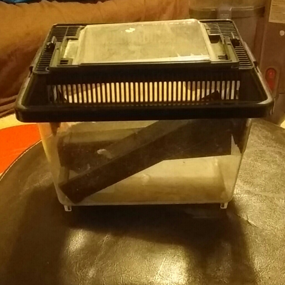 Cricket cage